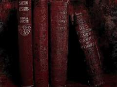 𝐇𝐨𝐧𝐞𝐬𝐭𝐥𝐲, 𝐢𝐭’𝐬 𝐣𝐮𝐬𝐭 𝐚 𝐫𝐞𝐚𝐬𝐨𝐧 𝐭𝐨 𝐬𝐞𝐞 𝐲𝐨𝐮.