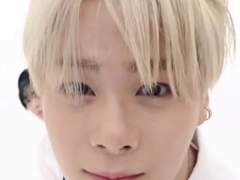 감자까시강아지고양이