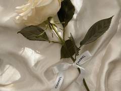 체향 만드는 법, 향수 추천 리스트