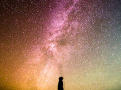 현실을 직시 해주시길 바랍니다.1