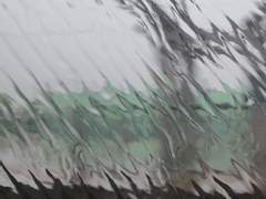 우성명헌 느와르au 사자와 호랑이 5