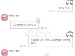 오픈카톡 대화 캡쳐 내용