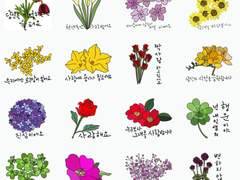 꽃말 이모티콘 1