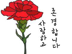 꽃말이모티콘 - 카네이션