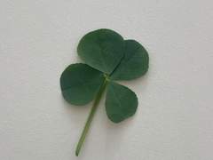 [교양]Sapiens-Yuval Noah Harari