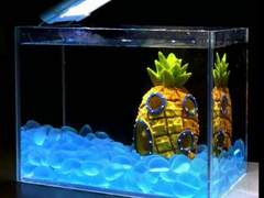 2002년 10월 19일 사주풀이