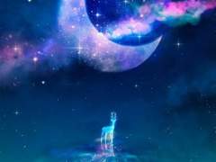 그 날, 우리는 사랑했다. (후편)