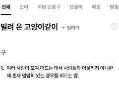 내가 그렇게 싫냐