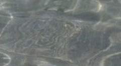 빠순이 탈트하는 법