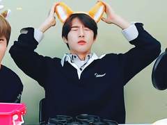 환상의 나라 드림랜드로