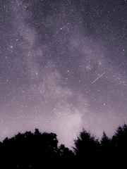 시리우스-가장 빛나는 별