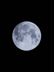 달만이 우리를 비추는 곳으로 