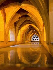 [자작쿠키 스토리] 왕국을 다스리는 봉룡(蜂龍)