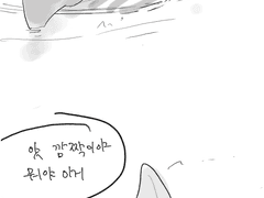 선생님 그 보드에 앉혀놓은 포켓몬 이름이 뭔가요