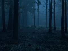 임무대행자 처분명령 청구 上