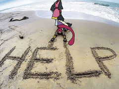 [요괴워치]짤트레