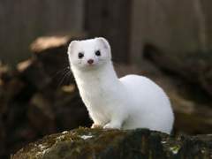 [드레헤르] 그렇게 시작한 호그와트 비밀연애 10