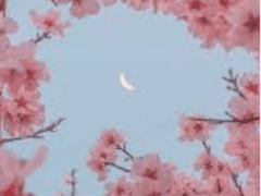 텐도 타쿠미/XY/2학년/실용음악부