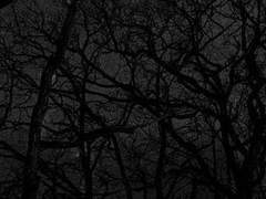 초 승달 ☾ 어둑시니 ☾ 남성 ☾ 2nn세