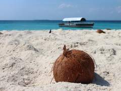 [슬램덩크/호댐호/요미츠요] COCONUT