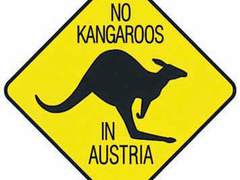 콜옵 짧은 드림 백업