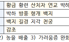 여드름 셀프처방 REPORT