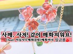 사매, 사저! 같이 매화피워요! 입금폼