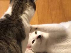 재수하고 광명찾자 14