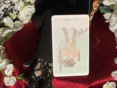 이번 주의 카드: Page of Swords reversed