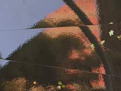 우성명헌 이명헌 딸이 명헌이 하나도 안 닮았으면 어떡하냐 (상)