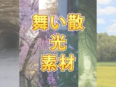[ココフォリア用APNG素材]舞い散光素材