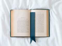 악마의 신부 (1)