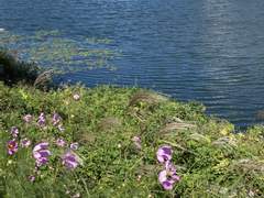 [딩이] 7.22 | 여름의 한복판에서..