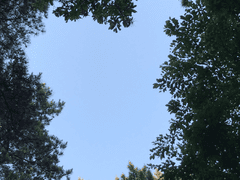 나의 첫사랑과 마지막에게