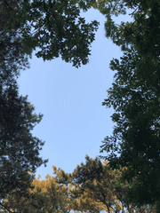 단편(노래 듣고 쓴 글들)