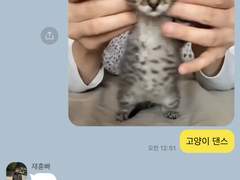 김남매 이슈 TALK 4