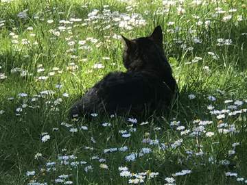 [션꿍] 로봇부장