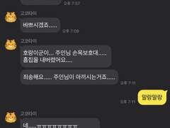 도검난무 카톡 카피페 드림 1