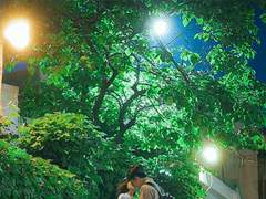 여름날의 연인들(마지막 첫사랑 外)