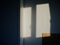 #9 너를 사랑하지 않는 법