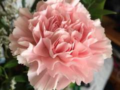 𝓢𝓮𝓴𝓪𝓲.