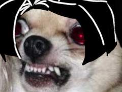 [빛나지 않는 별 5화]이제자