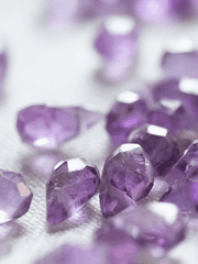 실험체들&(미공개 후속작)