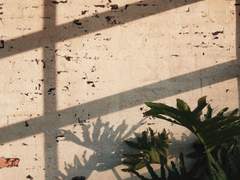 그건 단지 연애에 국한되는 것만은 아니다