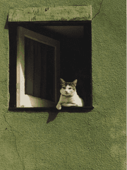 [학원] 숭실대 특강