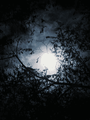 신상귀수(神相鬼輸)