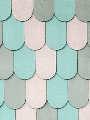 슈크림빵의 혁명일기