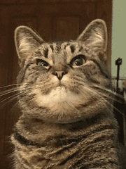 아 아저씨 차빼요!