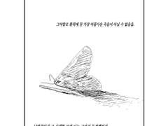 엨레 나방
