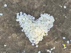 동그라미 연애 完